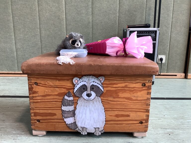 Waschbär