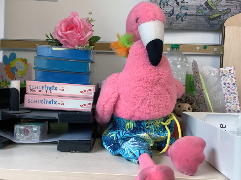 flamingo_klassentier