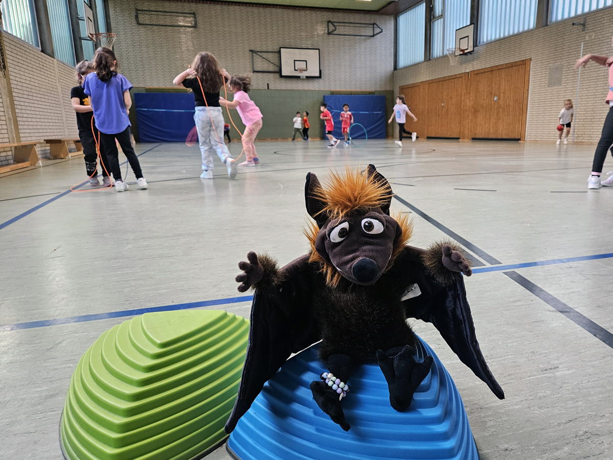 fledermaeuse_sporthalle